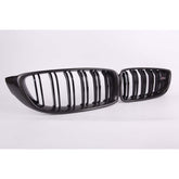 Carbon Fiber Kidney